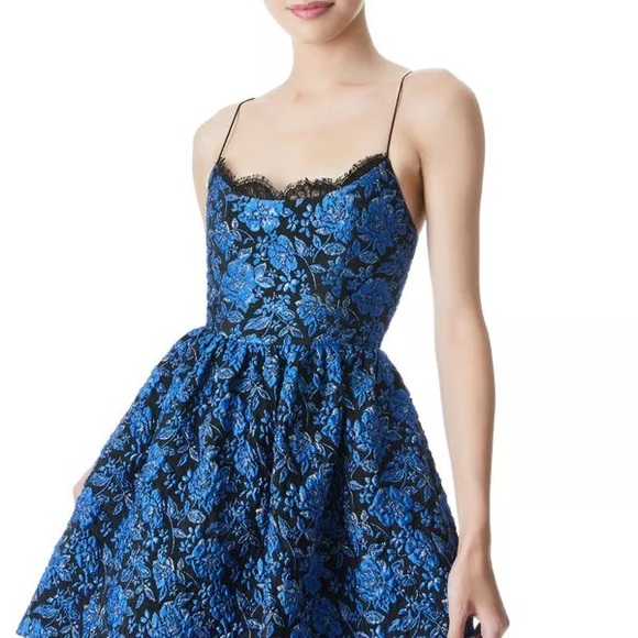ALICE + OLIVIA Kendra Floral Mini Dress - Picture 9 of 15